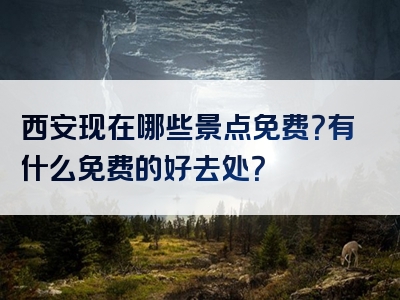 西安现在哪些景点免费？有什么免费的好去处？