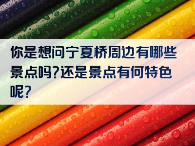 你是想问宁夏桥周边有哪些景点吗？还是景点有何特色呢？