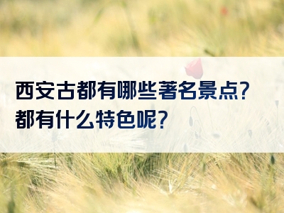 西安古都有哪些著名景点？都有什么特色呢？