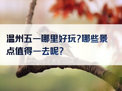 温州五一哪里好玩？哪些景点值得一去呢？