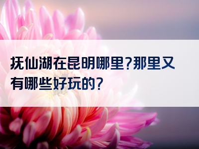 抚仙湖在昆明哪里？那里又有哪些好玩的？