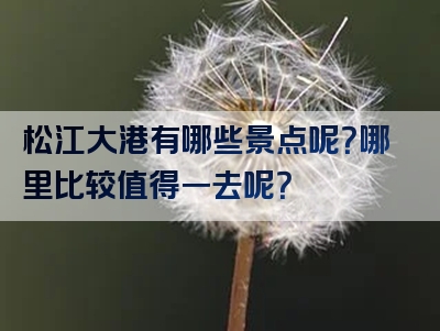 松江大港有哪些景点呢？哪里比较值得一去呢？