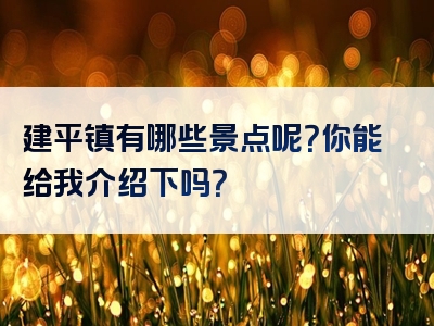 建平镇有哪些景点呢？你能给我介绍下吗？