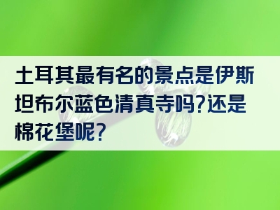 土耳其最有名的景点是伊斯坦布尔蓝色清真寺吗？还是棉花堡呢？
