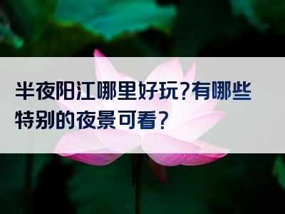 半夜阳江哪里好玩？有哪些特别的夜景可看？