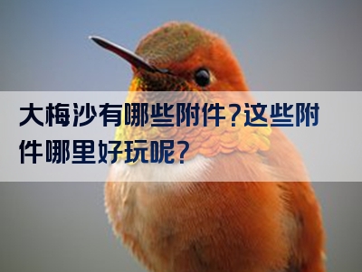 大梅沙有哪些附件？这些附件哪里好玩呢？