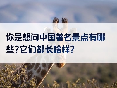 你是想问中国著名景点有哪些？它们都长啥样？
