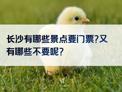 长沙有哪些景点要门票？又有哪些不要呢？