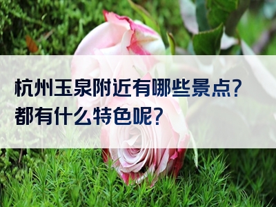 杭州玉泉附近有哪些景点？都有什么特色呢？