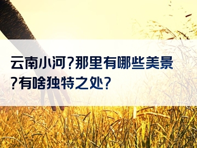 云南小河？那里有哪些美景？有啥独特之处？