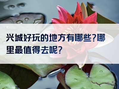 兴城好玩的地方有哪些？哪里最值得去呢？
