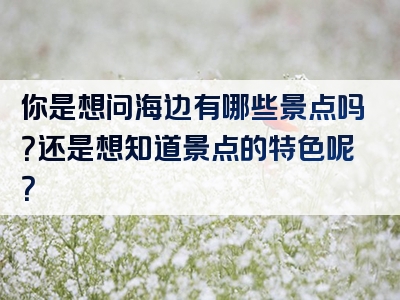 你是想问海边有哪些景点吗？还是想知道景点的特色呢？