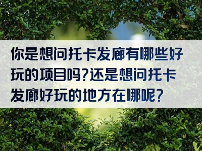 你是想问托卡发廊有哪些好玩的项目吗？还是想问托卡发廊好玩的地方在哪呢？