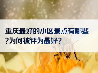 重庆最好的小区景点有哪些？为何被评为最好？