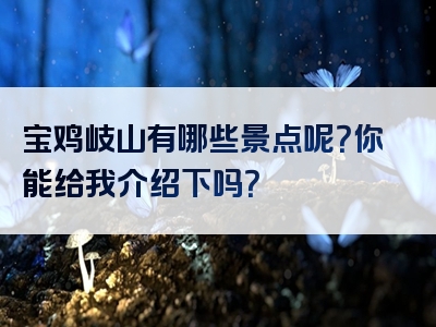 宝鸡岐山有哪些景点呢？你能给我介绍下吗？
