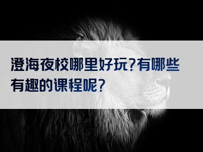 澄海夜校哪里好玩？有哪些有趣的课程呢？