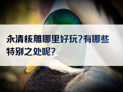 永清核雕哪里好玩？有哪些特别之处呢？