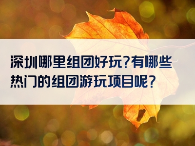 深圳哪里组团好玩？有哪些热门的组团游玩项目呢？