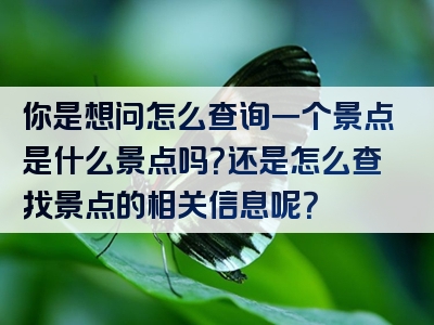 你是想问怎么查询一个景点是什么景点吗？还是怎么查找景点的相关信息呢？