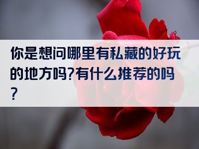 你是想问哪里有私藏的好玩的地方吗？有什么推荐的吗？