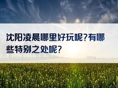 沈阳凌晨哪里好玩呢？有哪些特别之处呢？