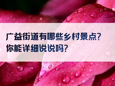 广益街道有哪些乡村景点？你能详细说说吗？