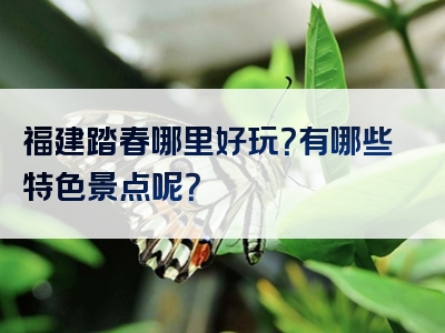 福建踏春哪里好玩？有哪些特色景点呢？