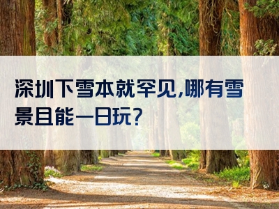 深圳下雪本就罕见，哪有雪景且能一日玩？