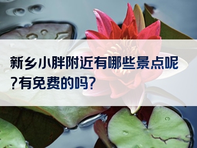 新乡小胖附近有哪些景点呢？有免费的吗？