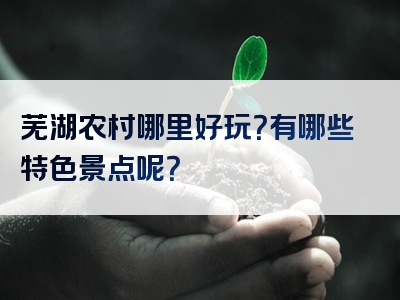 芜湖农村哪里好玩？有哪些特色景点呢？