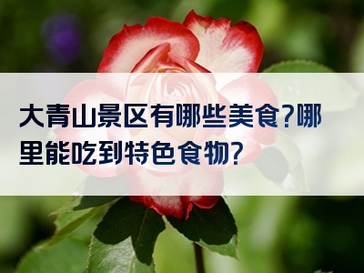 大青山景区有哪些美食？哪里能吃到特色食物？
