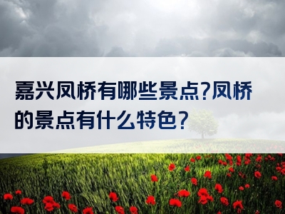 嘉兴凤桥有哪些景点？凤桥的景点有什么特色？