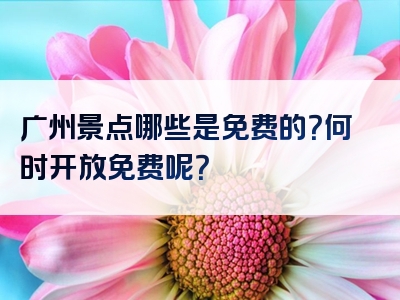 广州景点哪些是免费的？何时开放免费呢？