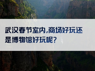 武汉春节室内，商场好玩还是博物馆好玩呢？