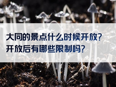 大同的景点什么时候开放？开放后有哪些限制吗？