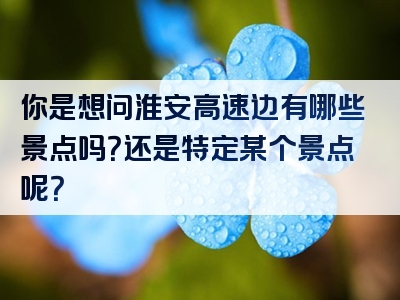 你是想问淮安高速边有哪些景点吗？还是特定某个景点呢？
