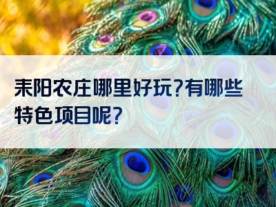 耒阳农庄哪里好玩？有哪些特色项目呢？