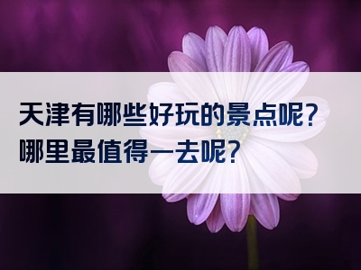 天津有哪些好玩的景点呢？哪里最值得一去呢？