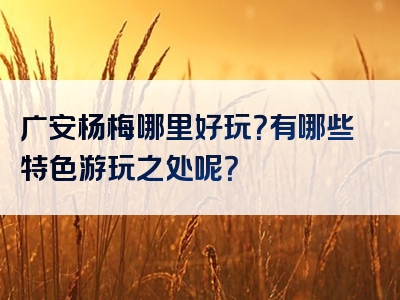 广安杨梅哪里好玩？有哪些特色游玩之处呢？