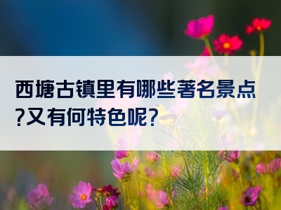 西塘古镇里有哪些著名景点？又有何特色呢？