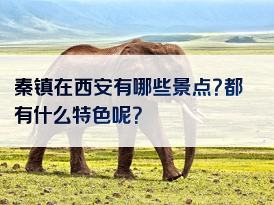 秦镇在西安有哪些景点？都有什么特色呢？