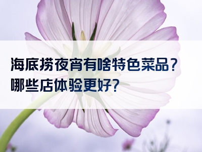 海底捞夜宵有啥特色菜品？哪些店体验更好？