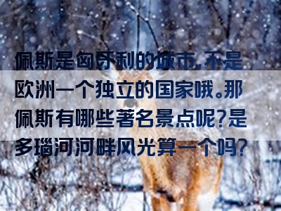 佩斯是匈牙利的城市，不是欧洲一个独立的国家哦。那佩斯有哪些著名景点呢？是多瑙河河畔风光算一个吗？