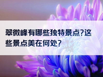 翠微峰有哪些独特景点？这些景点美在何处？