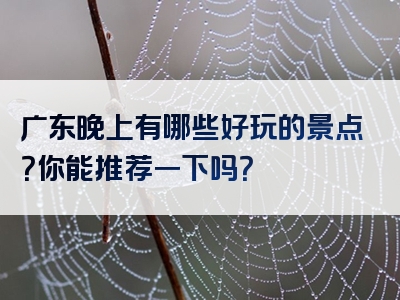 广东晚上有哪些好玩的景点？你能推荐一下吗？