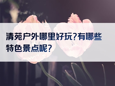 清苑户外哪里好玩？有哪些特色景点呢？