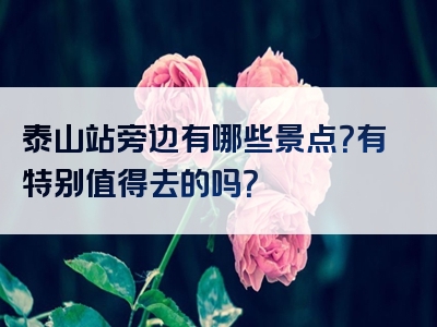 泰山站旁边有哪些景点？有特别值得去的吗？