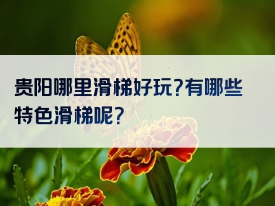 贵阳哪里滑梯好玩？有哪些特色滑梯呢？