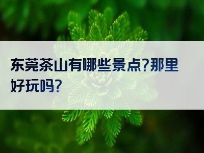 东莞茶山有哪些景点？那里好玩吗？