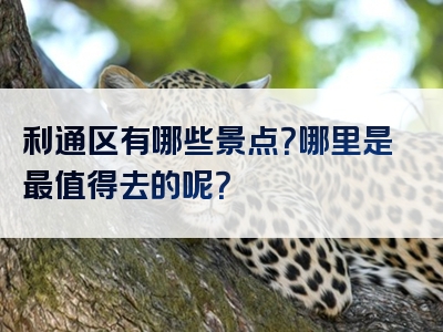利通区有哪些景点？哪里是最值得去的呢？